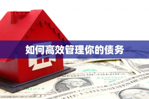 吴忠如何高效管理你的债务