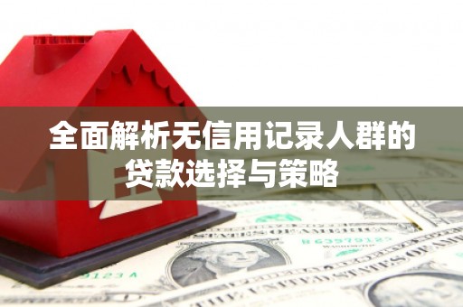 八宿全面解析无信用记录人群的贷款选择与策略