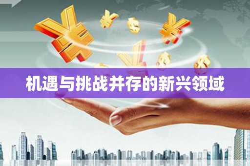 正阳机遇与挑战并存的新兴领域
