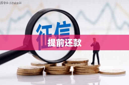 吉首提前还款