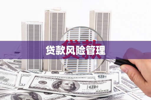 汝阳贷款风险管理